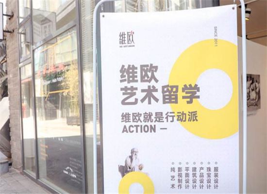 维欧艺术教育加盟 维欧艺术教育加盟