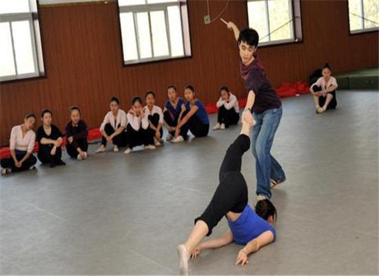 danceto当兔国际艺术教育加盟