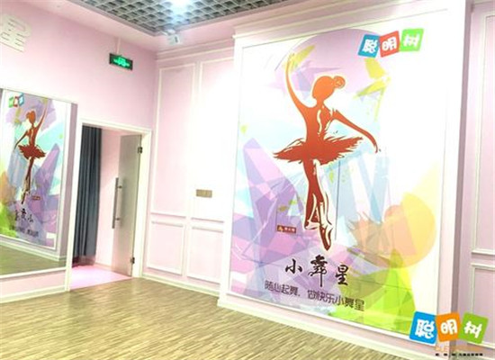 聪明树小舞星加盟