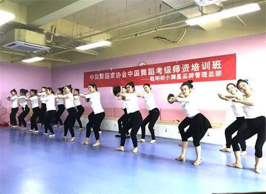 聪明树小舞星加盟