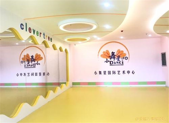 聪明树小舞星加盟