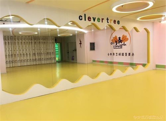 聪明树小舞星加盟