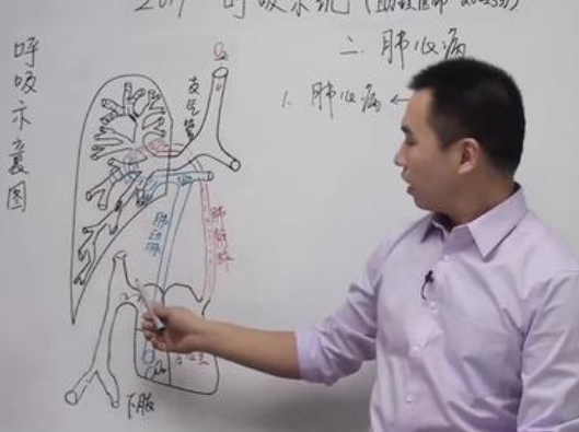 昭昭医考加盟