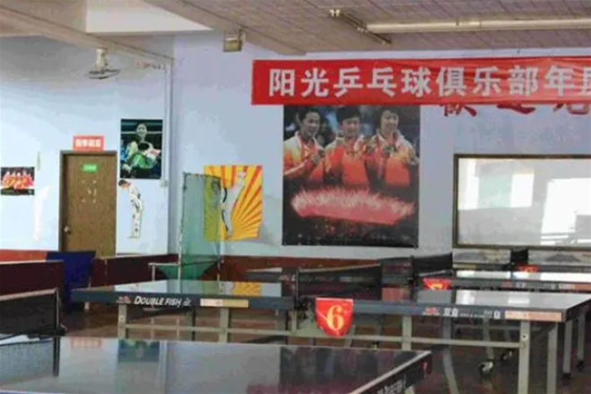 阳光乒乓球俱乐部加盟条件是什么？