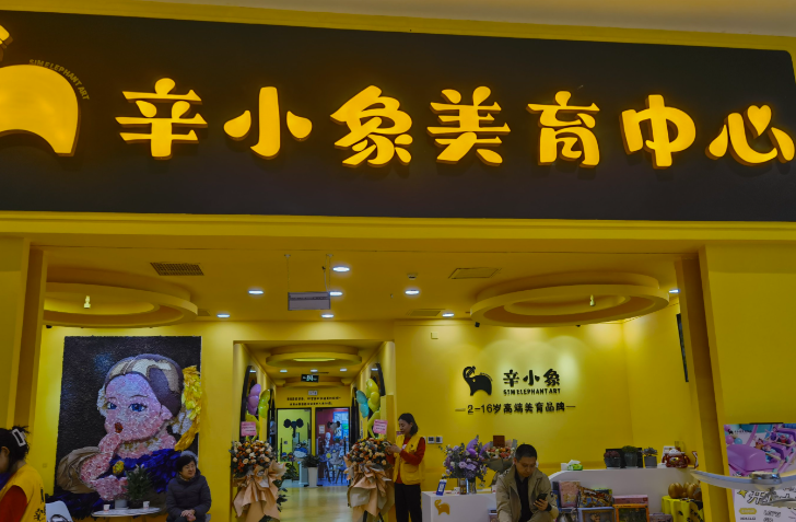 辛小象国际美育中心加盟可靠吗？